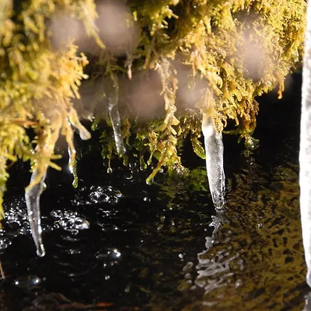 Prázdninový dům Waldhofalm Angerer Berchtesgaden